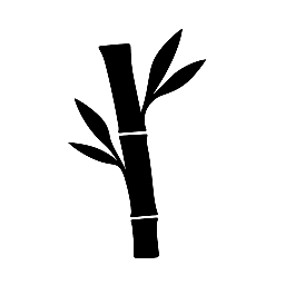 The Daily Wellness Flow